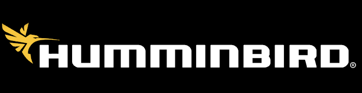 humminbird